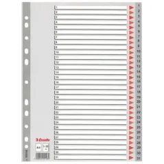 Divisori numerati da 1 a 31 in PPL 21 x 29,7 Esselte