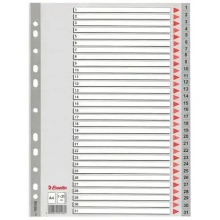 Divisori numerati da 1 a 31 in PPL 21 x 29,7 Esselte
